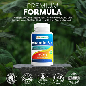 Best Naturals Vitamin B6 Tablet, 100 Mg, 250 Count