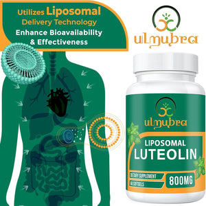 Ulmubra 800 MG Liposomal Luteolin Supplement - Maximum Absorption, Premium Antioxidant Supplement for Brain & Overall Well-Being, 60 Softgels - 30-Day Supply