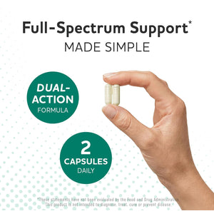 Prebiotics and Probiotics | 50 Billion CFU, 16 Probiotic Strains & Inulin Prebiotic Fiber | Delayed Release Capsules | Gut Health Support | Prebiotics and Probiotics for Women & Men | Non-Gmo | 60 Ct