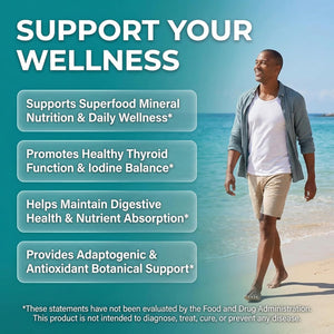 Clean Nutra Organic Sea Moss Capsules with Ashwagandha, Black Seed Oil, Burdock Root, Bladderwrack, Moringa, Chlorella, Spirulina, Turmeric, Elderberry, Amla � 90 Vegan Capsules � Miraclemin