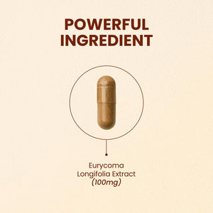 CHOQ Tongkat Ali Extract 100Mg - Testosterone Booster for Men - LJ100 Longjack Clinically Proven - Malaysian Eurycoma Longifolia with 40% Glycosaponins - 30 Capsules