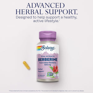 SOLARAY Berberine 500Mg - Berberine Supplement for a Healthy, Active Lifestyle - with Berberine Hcl from Indian Barberry - Vegan, Non-Gmo, 60-Day Guarantee - 60 Servings, 60 Vegcaps (60 CT)