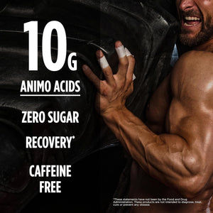 BSN Amino X Muscle Recovery & Endurance Powder, Bcaas, 10 Grams of Amino Acids, Keto Friendly, Caffeine-Free, Support Endurance, Zero Sugar, Fruit Punch, 30 Servings, 15.34 Ounce (Packaging May Vary)