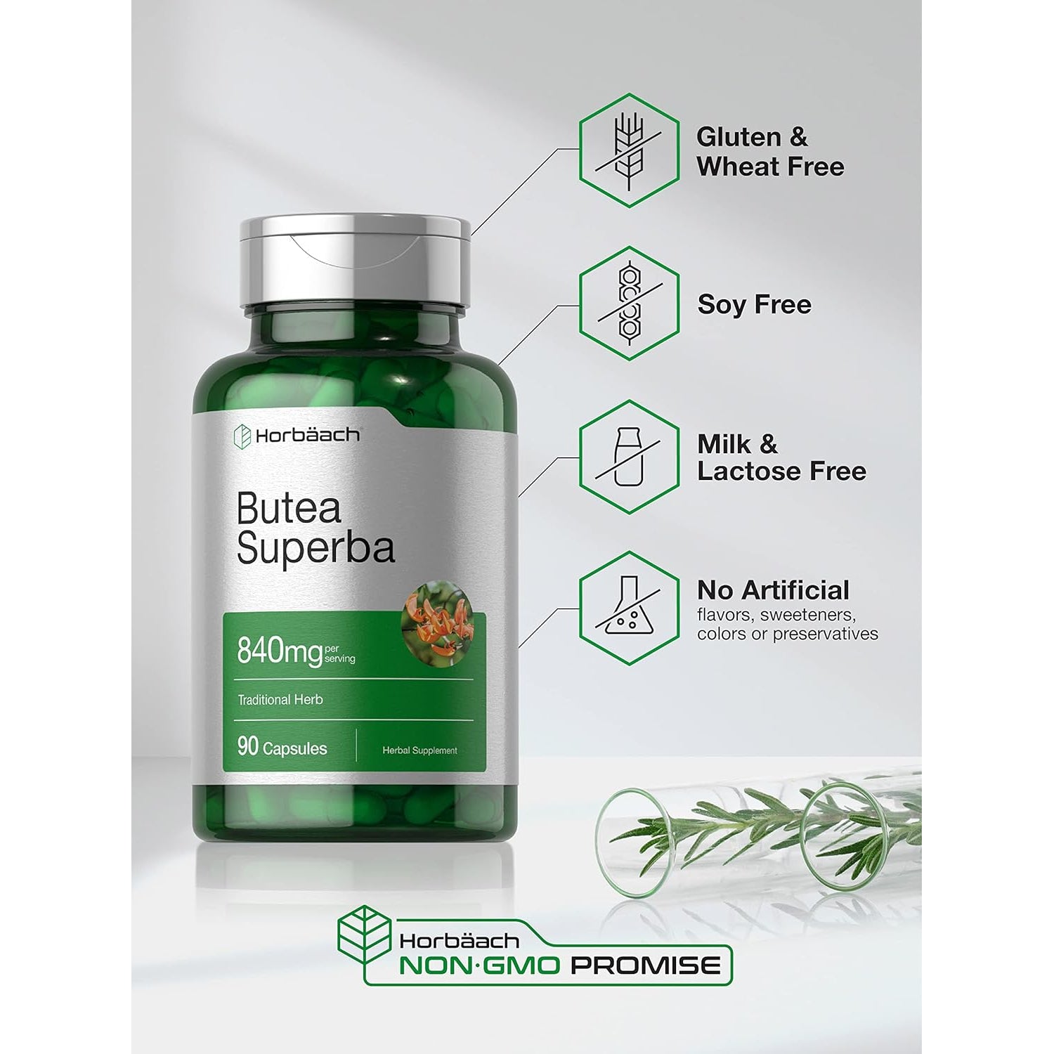 Horbäach Butea Superba Root 840Mg | 90 Capsules | Male Performance | Non GMO, Gluten Free Supplement