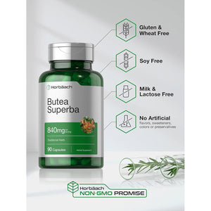 Horbäach Butea Superba Root 840Mg | 90 Capsules | Male Performance | Non GMO, Gluten Free Supplement