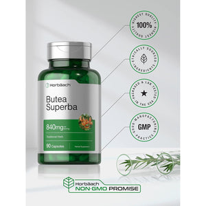 Horbäach Butea Superba Root 840Mg | 90 Capsules | Male Performance | Non GMO, Gluten Free Supplement