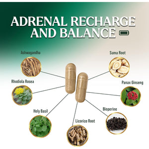 Nature'S Nutrition Adrenal Support Supplements Cortex Complex, Best Energy Supplement, Supports Health & Energy Levels, Daily Ashwagandha for Women & Men, Supports Immune System, 120 Capsules