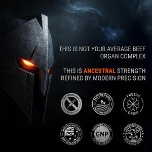 Beef Organ Complex Capsules for Men - New Zealand and Grass Fed Finished Bull Supplement, Freeze Dried and Non-Gmo Bovine Testes, Liver, Thymus, Heart, Bone Marrow - 2-Month Supply