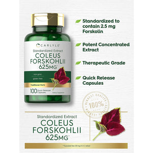 Carlyle Coleus Forskohlii Capsules | 100 Count | Forskolin Standardized Extract Supplement | Non-Gmo & Gluten Free