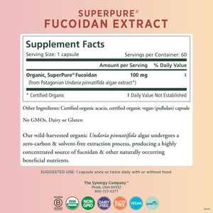 PURE SYNERGY Superpure Fucoidan Extract | Gluten-Free Fucoidan from Organic Brown Seaweed | for Immune Health, Digestion, and Healthy Aging (60 Capsules)