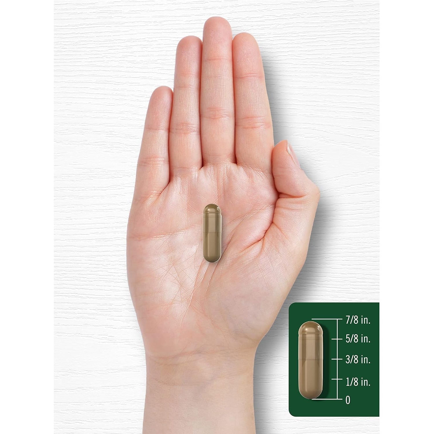 Carlyle Fennel Seed 480Mg | 200 Capsules | Herbal Supplement | Non-Gmo