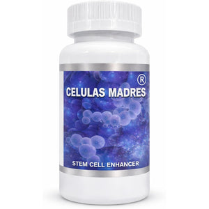 Celulas Madres Stem Cell Enhancer