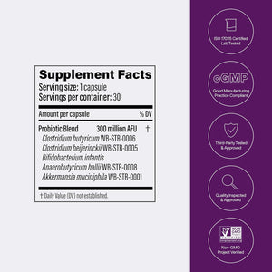 Pendulum Metabolic Daily - Multi-Strain Probiotic with Akkermansia Muciniphila to Support Metabolism and Sustain Energy Levels - for Women and Men - 30 Capsules (1 Pack)