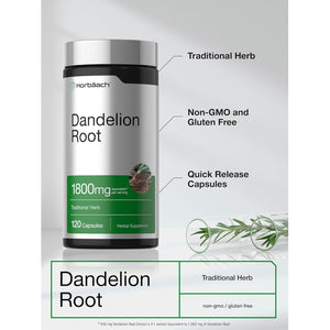 Horbäach Dandelion Root Supplement | 120 Capsules | Non-Gmo, Gluten Free