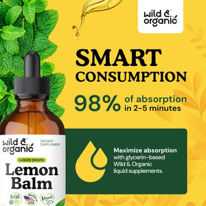 Wild & Organic Lemon Balm Tincture - Good Mood Support - Melissa Lemon Balm Extract Drops - Add to Tea for Relaxation - Vegan, Sugar & Alcohol-Free Leaf Supplement - 4 Fl Oz