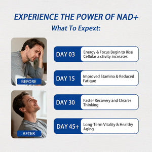 Boostiva NAD+ Supplements for Men with NAD, Resveratrol, Coq10, L-Citrulline & Lycopene – Nitric Oxide Support, Prostate Care, Anti-Aging, Stamina & Cellular Energy Boost 60Capsules (1) (1)