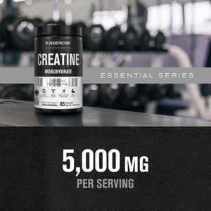 Jacked Factory Creatine Monohydrate Powder 425G - 5G Daily Creatine Supplement for Men and Women, Vegan-Friendly, Third-Party Tested - 85 Servings, Unflavored