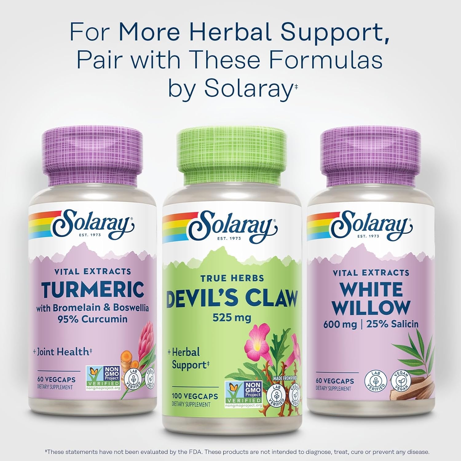 Solaray Devil'S Claw Root 525 Mg - Devils Claw Herbal Supplement, Devilsclaw Herb Pills, Cartilage Support for Men & Women, Non-Gmo, Lab Verified - 100 Vegan Capsules