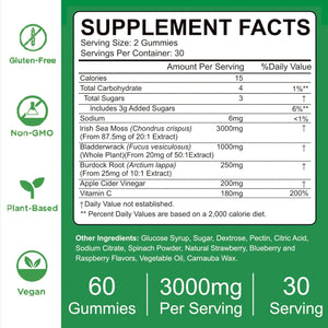 VIFSSG Sea Moss Gummies, 3000Mg Irish Seamoss Gummy Vegan for Adults & Kids with Organic Bladderwrack, Burdock Root and Apple Cider Vinegar Supplement 60 Gummies Pack of 1
