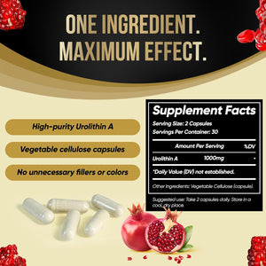Urolithin a Capsules 500Mg - 1000Mg per Serving Mitochondrial Support Supplement for Cellular Renewal - Longevity Wellness Capsules - High Purity Urolithin a Supplement - 60 Caps