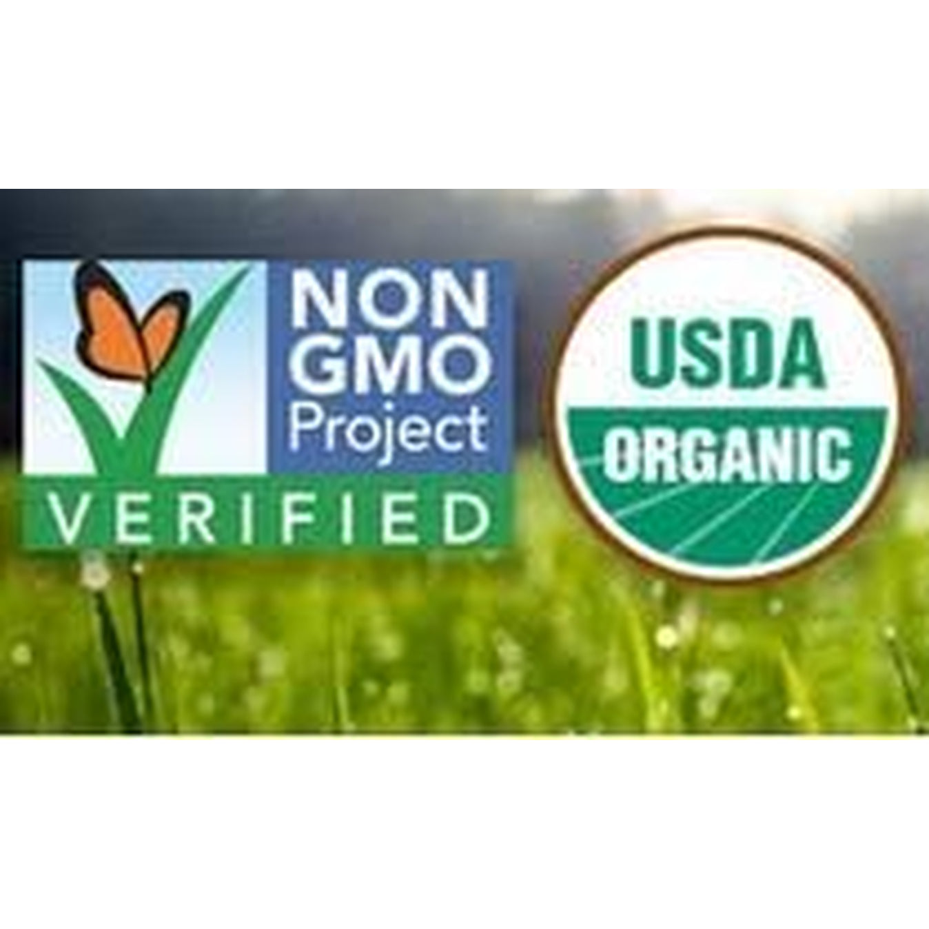 Pines Organic Wheat Grass, 500 Count Tablets