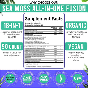 Adndale Sea Moss Capsules - Sea Moss Blend with Ashwagandha, Turmeric & Black Seed Oil - 180 Count