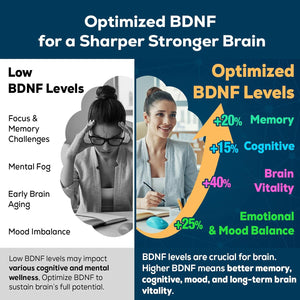 Nootropic Brain Supplement for Memory and Focus – BDNF Optimizer – Cognitive, Mental Clarity & Mood – High Absorption – Organic Lion'S Mane, L-Theanine, Ginkgo Biloba & Alpha GPC – 60 Tablets