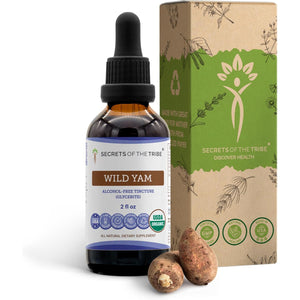 Secrets of the Tribe Wild Yam Alcohol-Free USDA Organic Tincture (Glycerite) 695 Mg Responsibly Farmed Wild Yam (Dioscorea Villosa) Dried Root (2 Fl Oz) Hormone Support Supplement