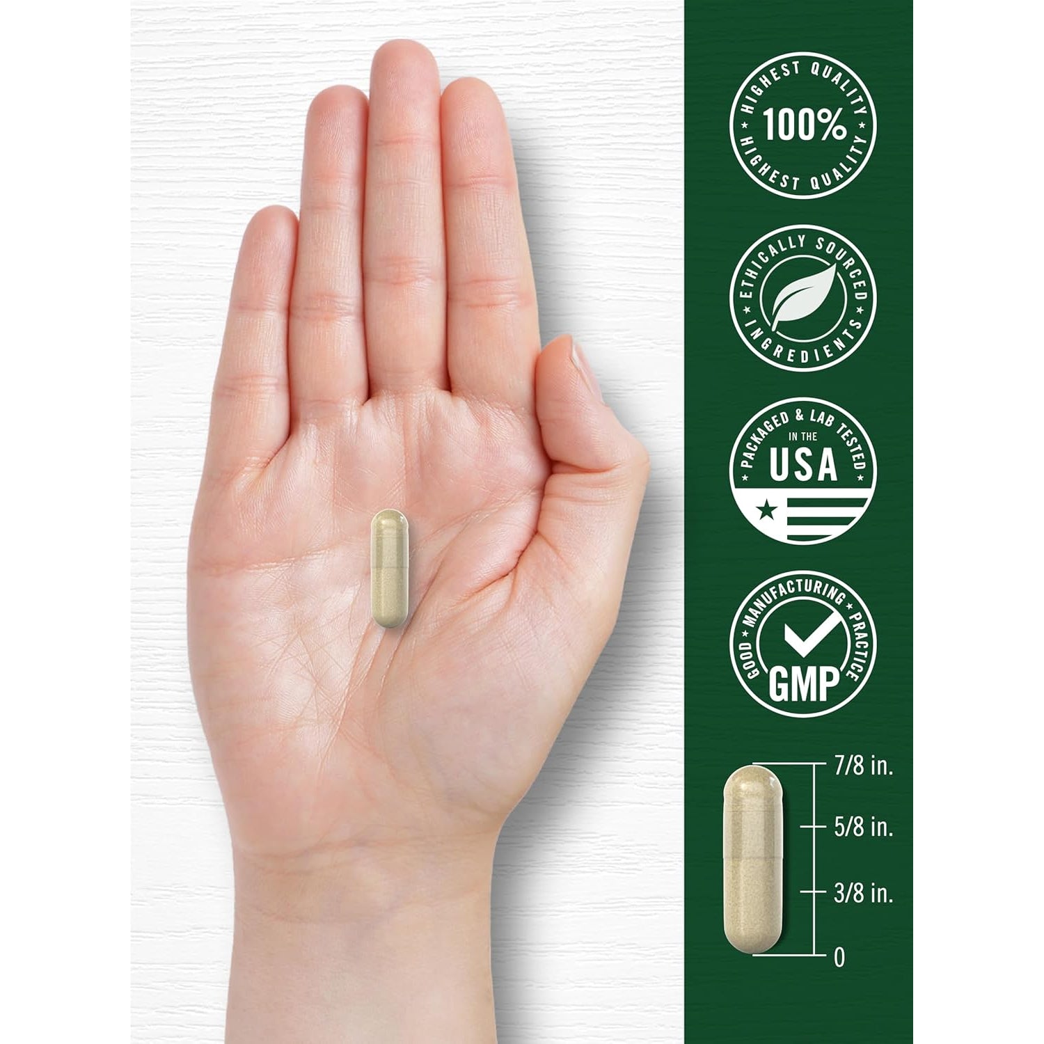 Carlyle Leg Vein Supplement | 180 Capsules | Supports Healthy Vein Function | Non-Gmo, Gluten Free