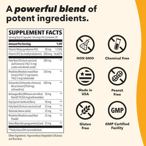 Lifeseasons Adrenal-T - Adrenal Fatigue Support Supplement - Helps Lower Cortisol - Avoid Burnout - Aids Stress Management - Energizing - with Ashwagandha Adaptogens - 60 Capsules