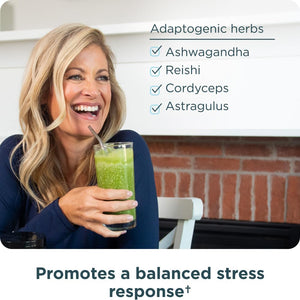 Ancient Nutrition Super Greens Powder, Organic Superfood Powder with Probiotics Made with Spirulina, Chlorella, Matcha, and Digestive Enzymes, 25 Servings, 7.05Oz