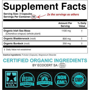 SPARTIS Certified Organic Sea Moss Capsules 2250Mg Wildcrafted Irish Sea Moss Burdock Root Bladderwrack Supplement Raw Seamoss Pills & Powder (Pack of 1 at 180-Caps)