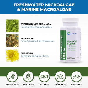 Cerule Stemenhance Ultra Natural Stem Cell Support Supplement – Freshwater Microalgae and Marine Macroalgae Extracts for Cellular Renewal, Immune Function, Energy, and Tissue Recovery – 60 Capsules