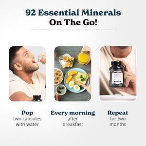 3000Mg Iris Sea Moss, 2000Mg Black Seed Oil, 1000Mg Ashwagandha, 1000Mg Burdrock Root, 1000 Mg Bladderwrack with Black Pepper & Vitamin C | Vitality & Energy Support | All-In-One Supplement | 120 Caps