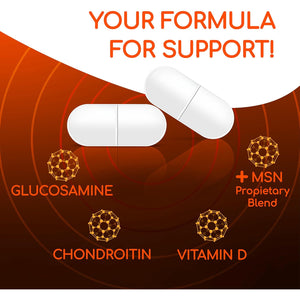 X Ray Dol Triple Action Joint Support Supplement with Glucosamine 1500Mg, Chondroitin 800Mg, MSM 750Mg and 5X Vitamin D for Healthy Joints, Bones & Cartilage - 60 Count per Bottle - 1 Pack