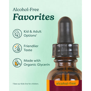 Herb Pharm Lemon Balm, Alcohol-Free: Certified Organic, Nervousness & Over-Excitement Support, Fast-Absorbing & Sugar-Free Calming Extract, Made with Lemon Balm Herb, Liquid Glycerite, 1 Oz