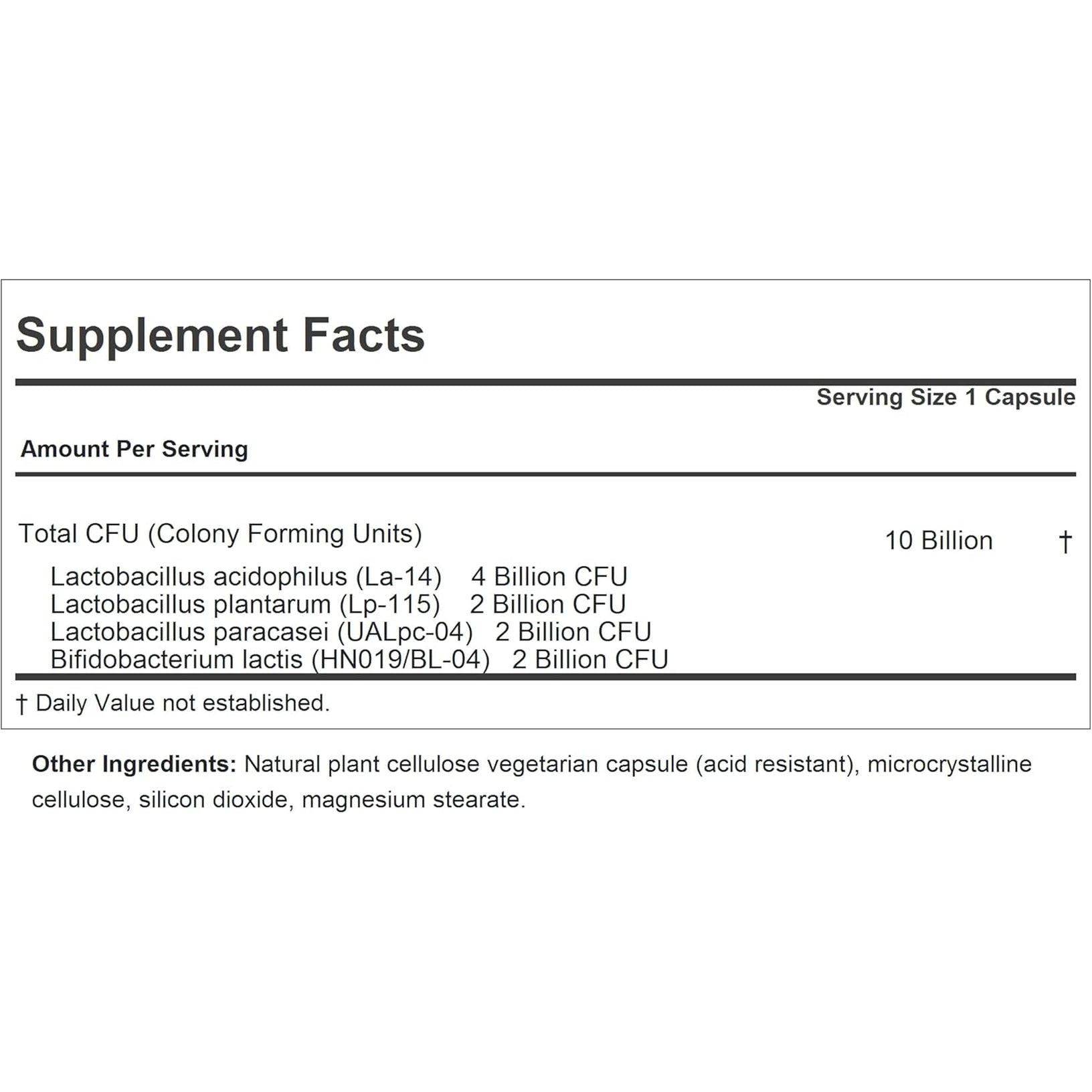 ANDREW LESSMAN Friendly Flora Probiotic 180 Capsules - 10 Billion CFU, Comprehensive Blend of Five Probiotic Strains, Powerful Immune and Digestive Support. Probiotics for Women or Men