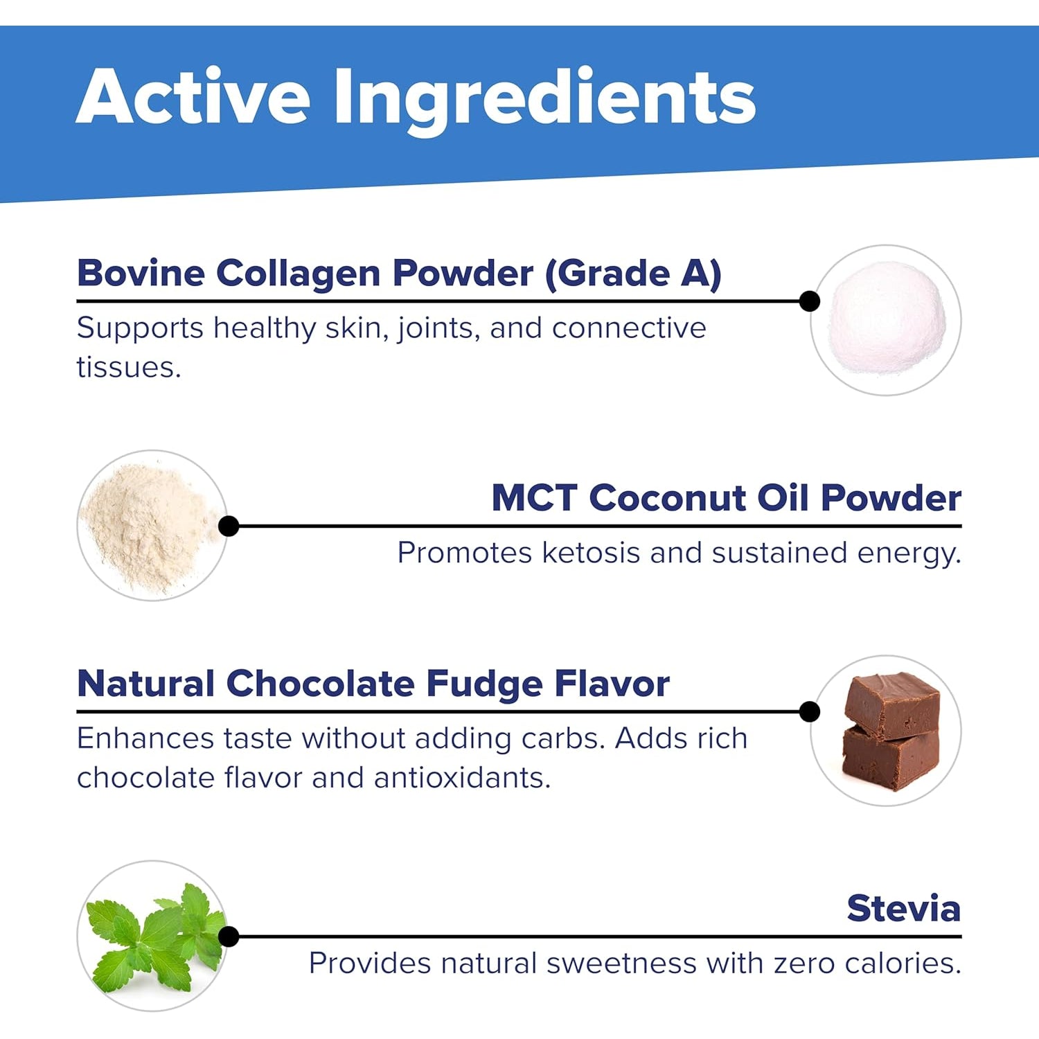 Superior Source Keto Collagen - Collagen Protein Powder with MCT Oil - Supports Hair, Skin, Nails & Joint Health - Dairy-Free - Chocolate, 14 Oz