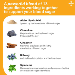Lifeseasons GS Stabili-T - Blood Sugar Support Supplement - Healthy Circulation & Vision - Maintain Normal Levels - Chromium Cinnamon Gymnema Bilberry & Alpha Lipoic Acid - 90 Capsules