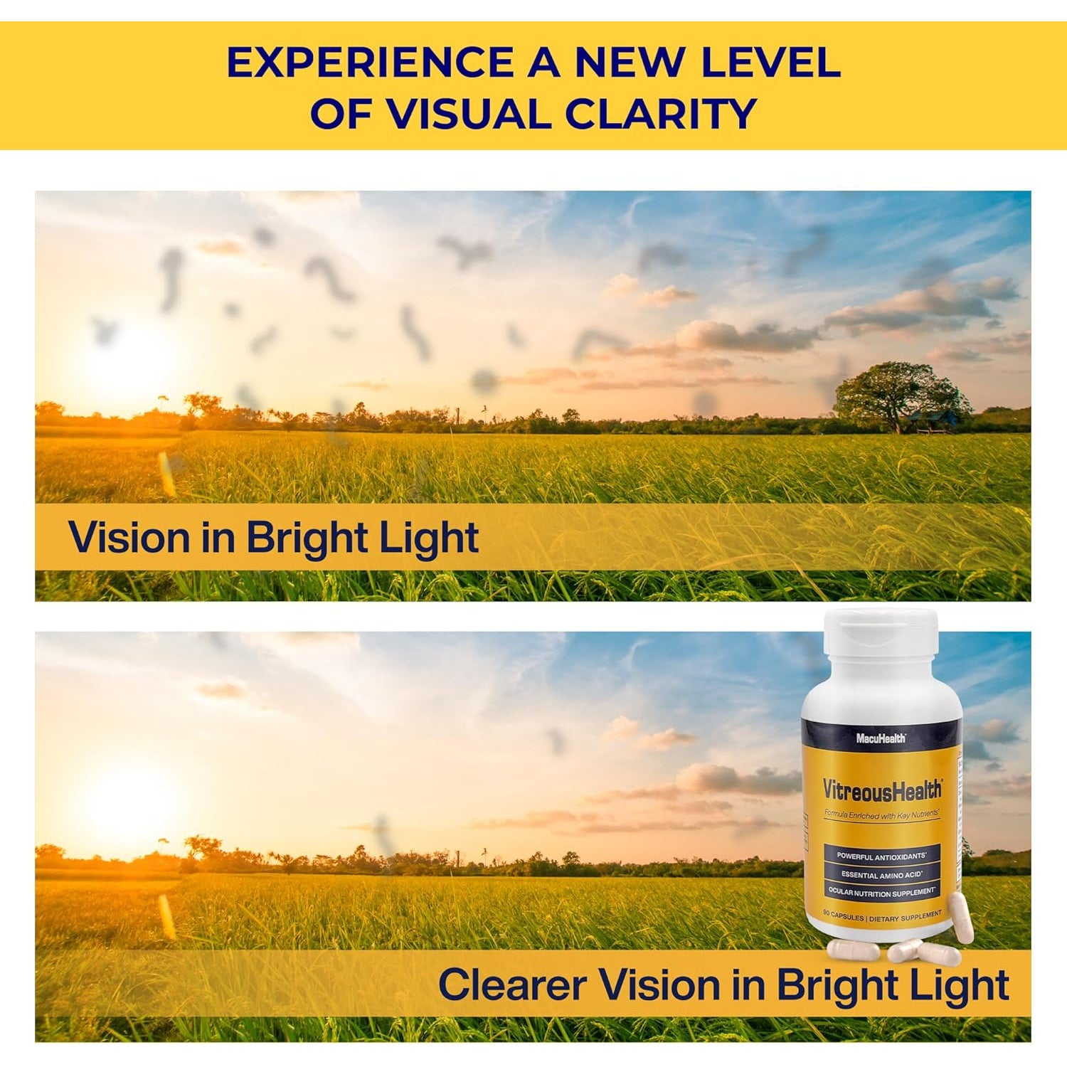 Macuhealth Vitreoushealth Evidence-Based Eye Supplement - 90 Capsules