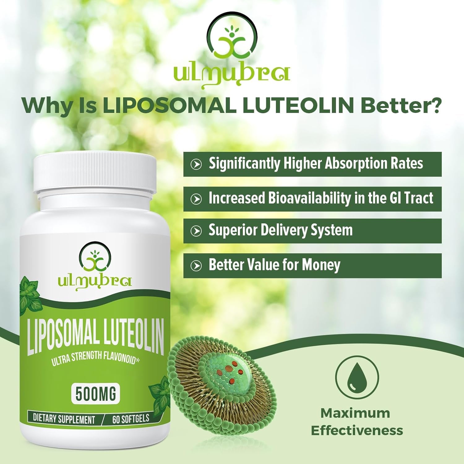 Ulmubra Liposomal Luteolin 500MG, Maximum Absorption, Potent Flavonoid, 60 Softgels, Luteolin Supplement, Non-Gmo, Gluten Free