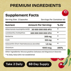 Akkermansia Muciniphila Probiotics 320 Billion CFU| Probiotic and Prebiotic | Akkermansia Probiotics for Gut Health | Inulin Prebiotic Fiber Capsules Astaxanthin & Berberine & Chromium | 120 Capsules