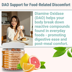 SHIZAM DAO Bromelain Enzyme Gummies with Butterbur Quercetin Stinging Nettle Root Extract, DAO Diamine Oxidase Enzyme, Powder Tincture Tablet Tea Alt Supplement, Leaf 500Mg
