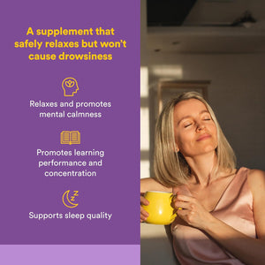 Natural Factors Suntheanine L-Theanine 100 Mg - Health Supplement for Calm Outlook - L-Theanine Supplement Supports Relaxing Sleep & Aids against Drowsiness - 60 Chewable Tablets (30 Servings)