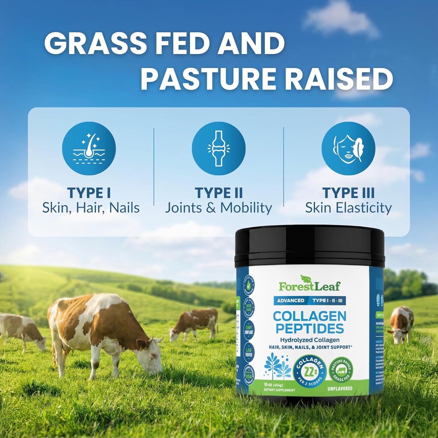 Forestleaf Collagen Peptides Powder Unflavored - Hydrolyzed Grass Fed Keto Collagen Protein Powder Type 1, 2 & 3 - Vital Hair, Skin, Nails, Joints, Recovery, 11G per Serving