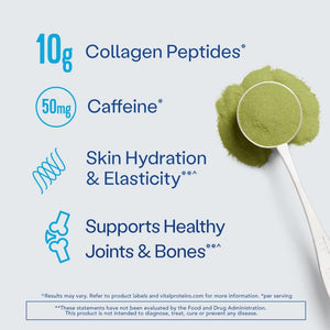 Vital Proteins Matcha Collagen Peptides Powder Supplement, Matcha Green Tea Powder, 10.5 Oz, Original Flavored