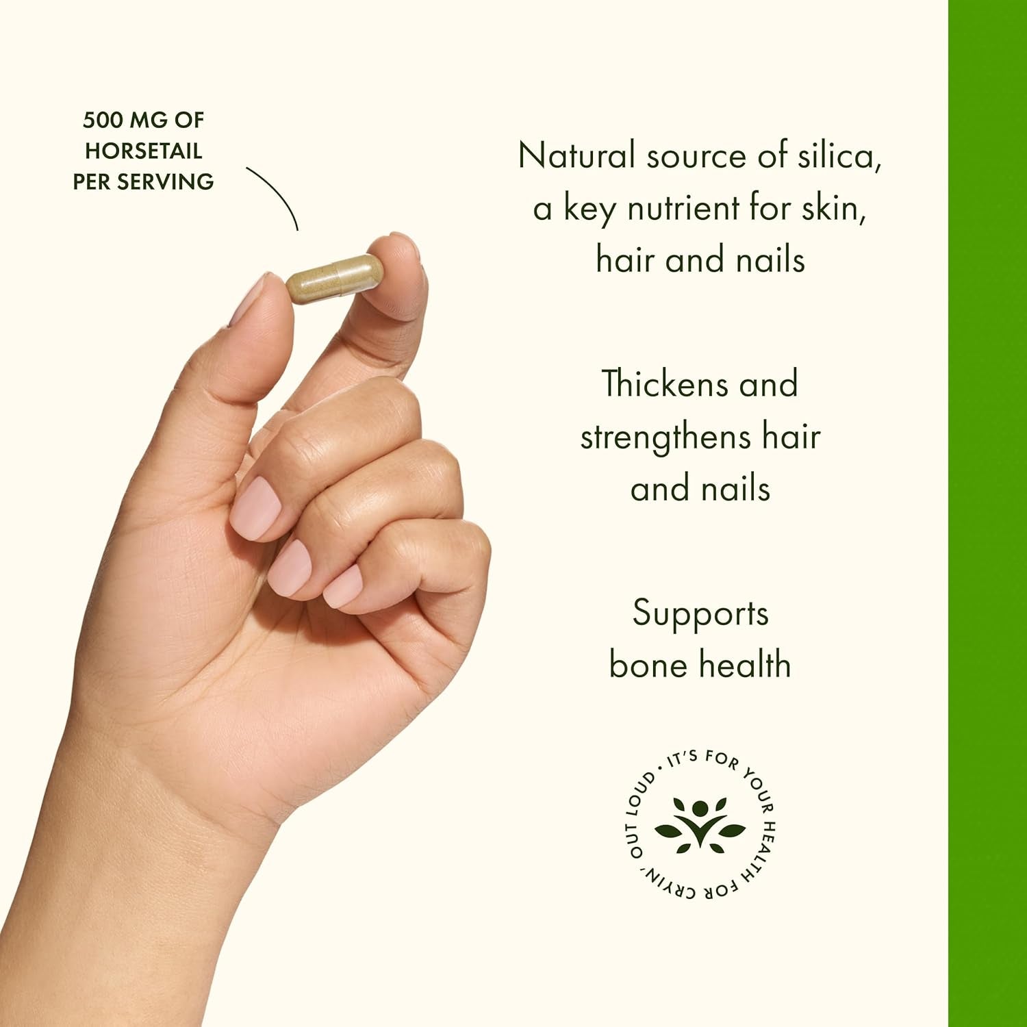 Swanson Horsetail - Herbal Supplement Supporting Healthy Hair, Skin & Nails - Natural Ingredients for Bone Health & Urinary Tract Support - (90 Capsules, 500Mg Each)