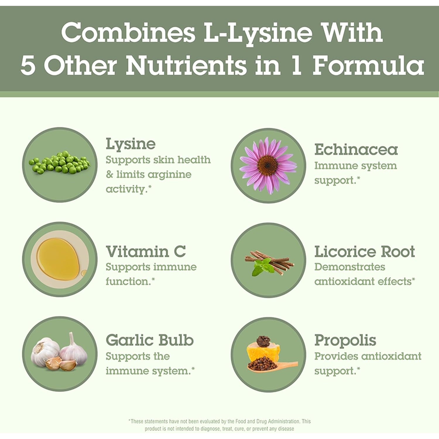 Quantum Health Super Lysine+ / Advanced Formula Lysine+ Immune Support with Vitamin C, Echinacea, Licorice, Propolis, Odorless Garlic (90 Tablets)