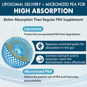 Ulmubra Liposomal Palmitoylethanolamide 1300 MG plus Luteolin 100 MG, Superior Absorption, Micronized Pea Supplement for Discomfort Management, 60 Softgels