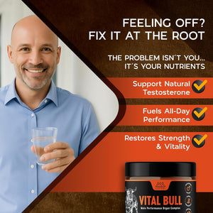 Vital Bull Beef Organ Supplement for Men with Grass Fed Liver, Testicle, Prostate & Bone Marrow – Freeze Dried Beef Organ Capsules for Nutrient Support – 30 Day Supply